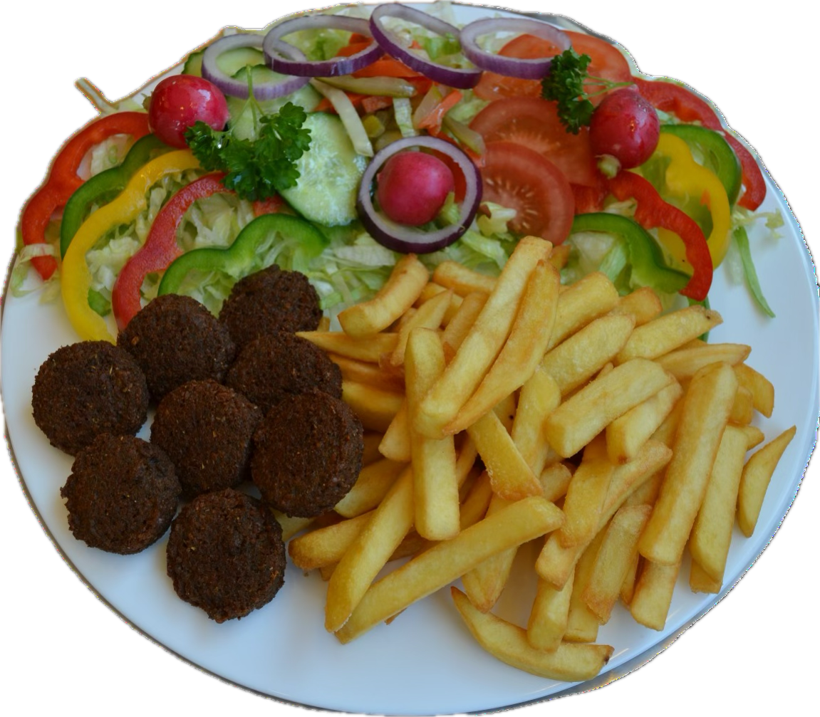 Falafel_Schotel